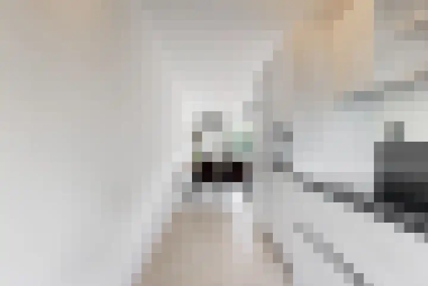 Charlotte van Pallandthof 108 Hoorn thumbnail 15