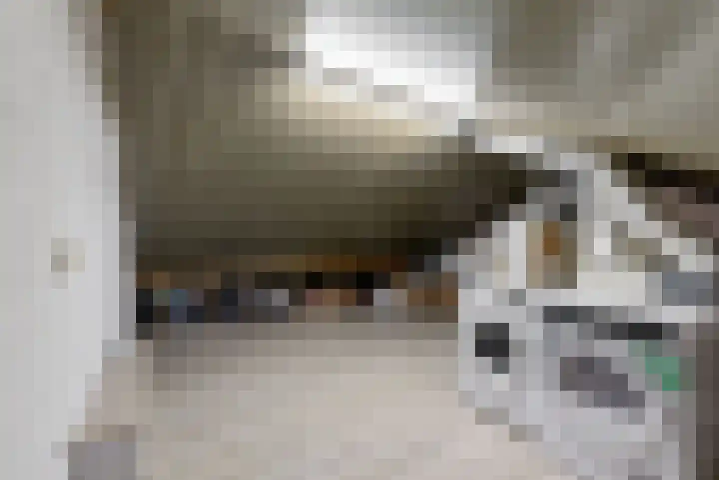 Charlotte van Pallandthof 108 Hoorn thumbnail 29