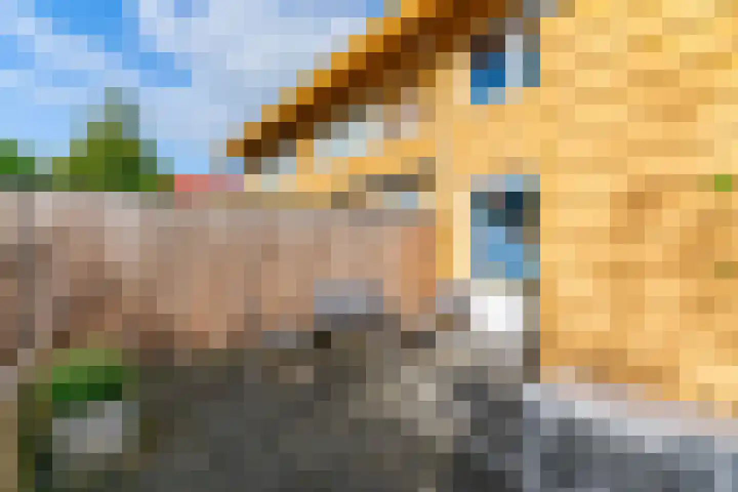 Charlotte van Pallandthof 108 Hoorn thumbnail 33