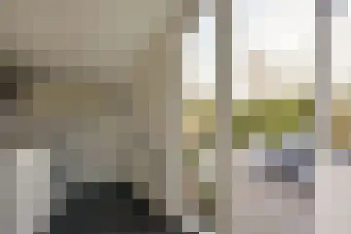 Charlotte van Pallandthof 122 Hoorn thumbnail 24