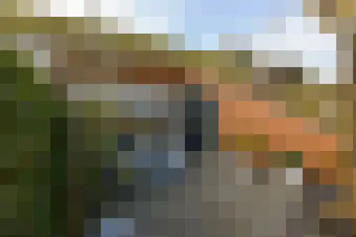 Charlotte van Pallandthof 122 Hoorn thumbnail 29