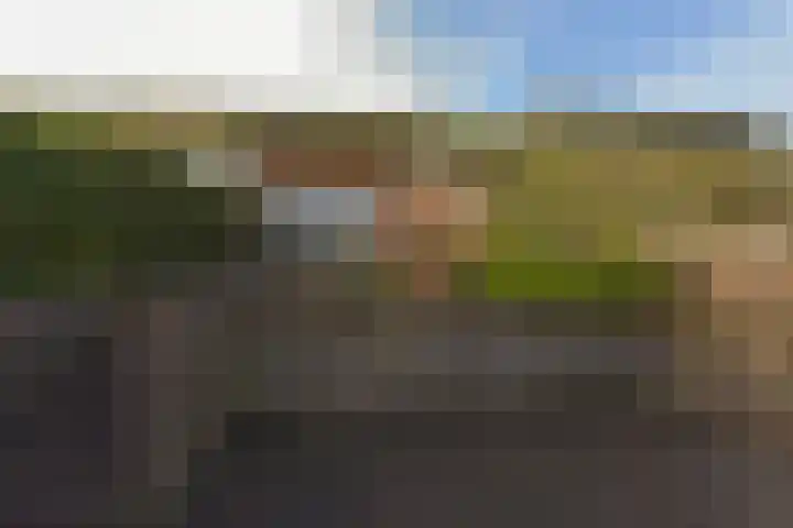 Charlotte van Pallandthof 122 Hoorn thumbnail 30