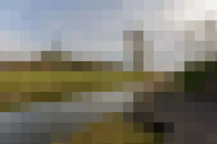 Charlotte van Pallandthof 122 Hoorn thumbnail 33