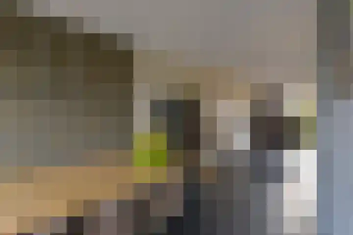 Charlotte van Pallandthof 122 Hoorn thumbnail 9