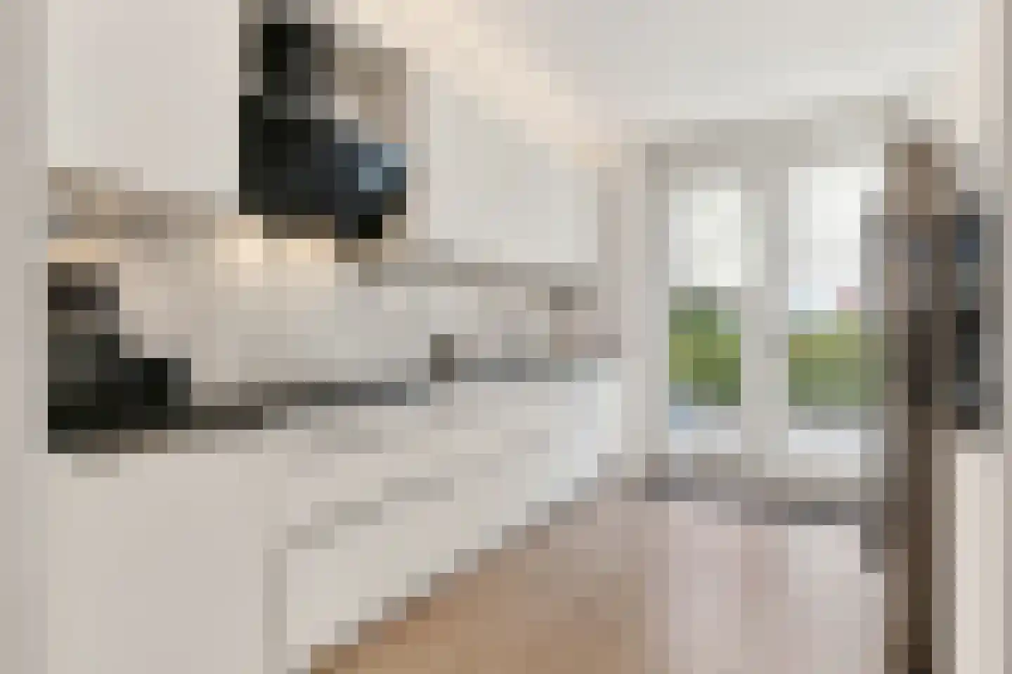 Charlotte van Pallandthof 18 Utrecht thumbnail 21