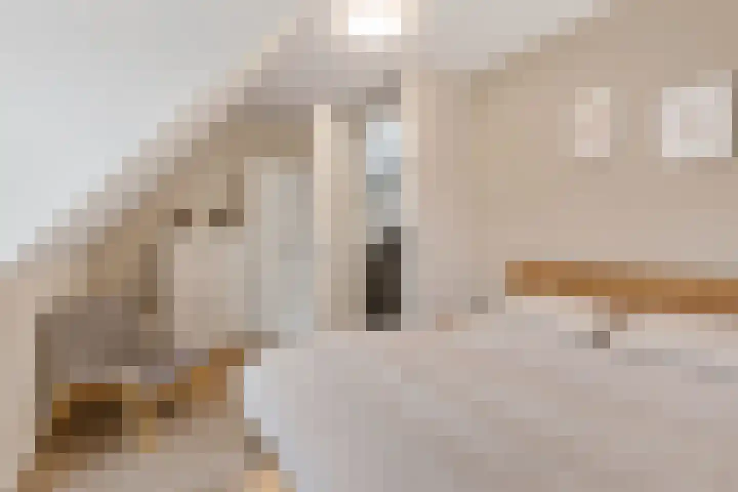 Charlotte van Pallandthof 18 Utrecht thumbnail 27