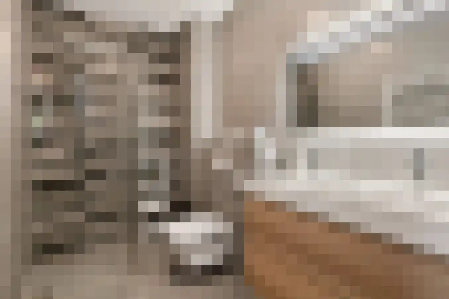 Charlotte van Pallandthof 18 Utrecht thumbnail 34