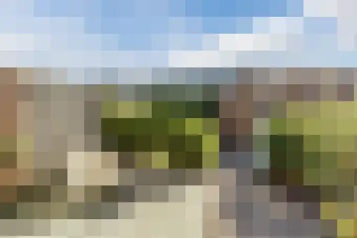 Charlotte van Pallandthof 20 Utrecht thumbnail 14
