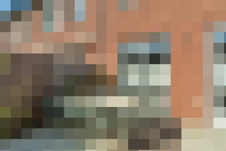 Charlotte van Pallandthof 20 Utrecht thumbnail 23