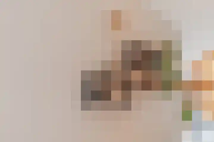 Charlotte van Pallandthof 20 Utrecht thumbnail 36
