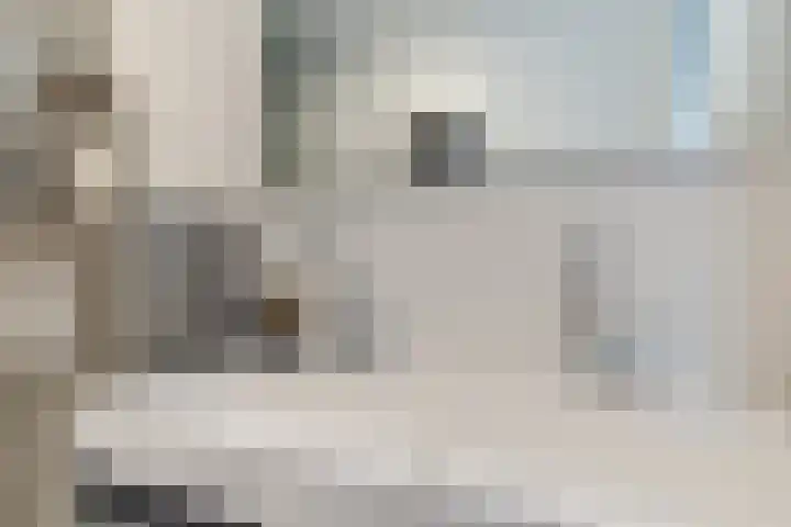 Charlotte van Pallandthof 20 Utrecht thumbnail 47