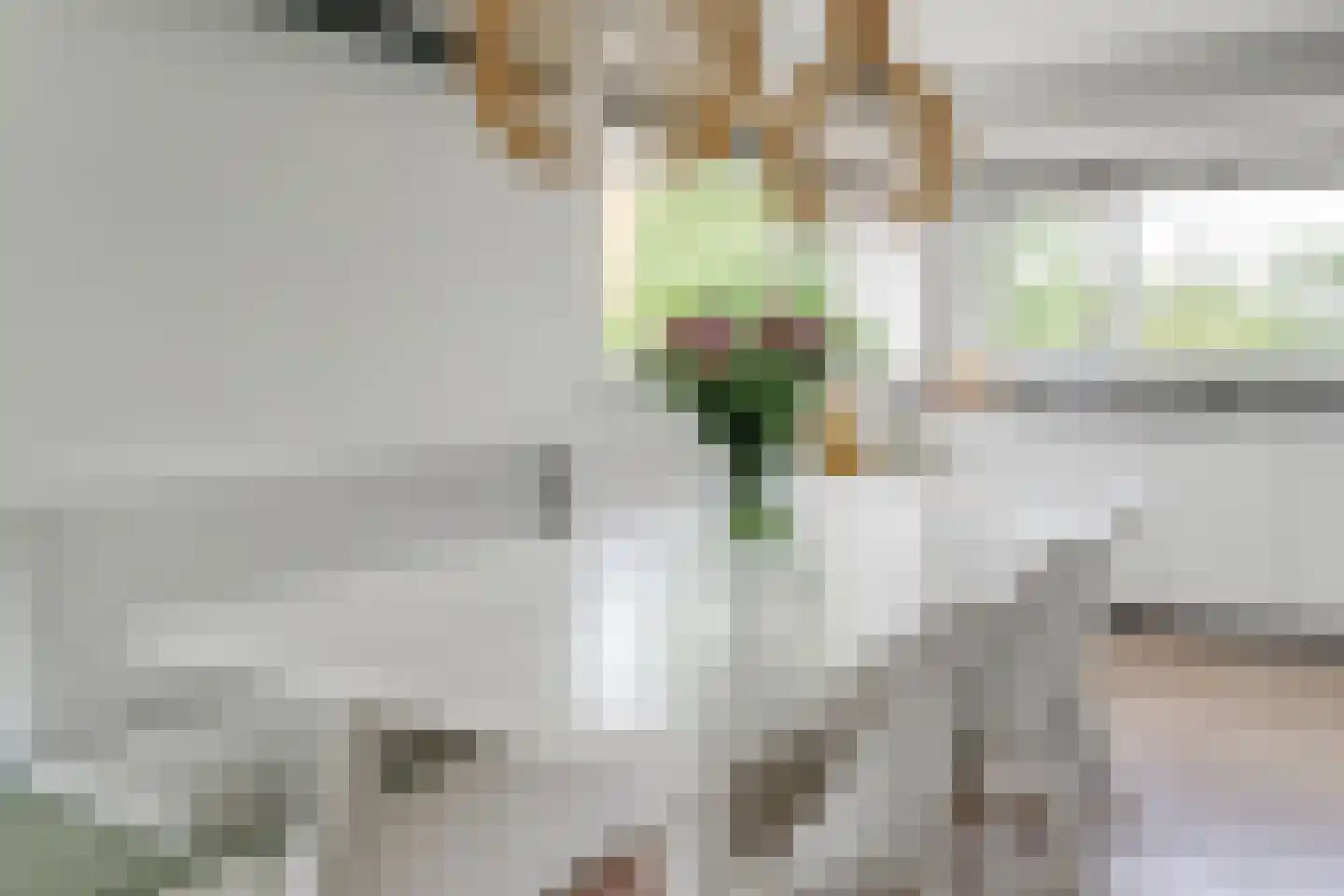 Charlotte van Pallandthof 58 Hoorn thumbnail 15