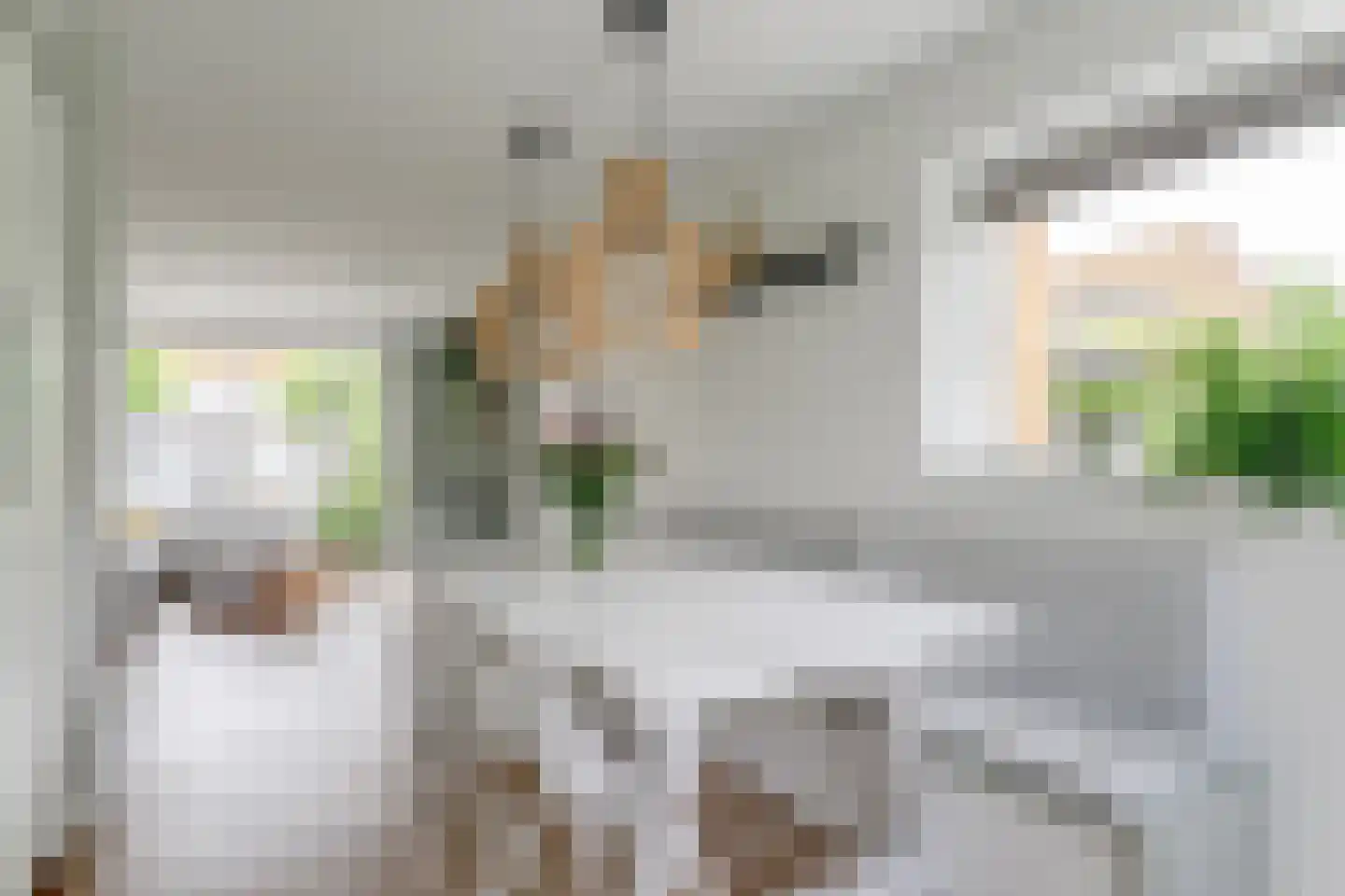 Charlotte van Pallandthof 58 Hoorn thumbnail 17