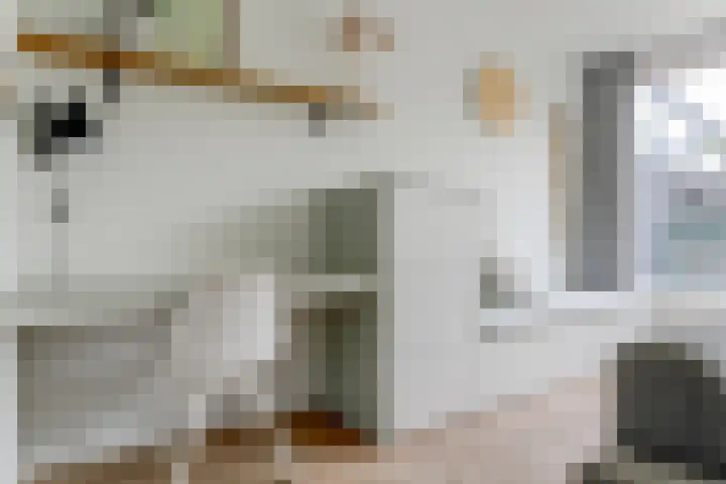 Charlotte van Pallandthof 58 Hoorn thumbnail 20