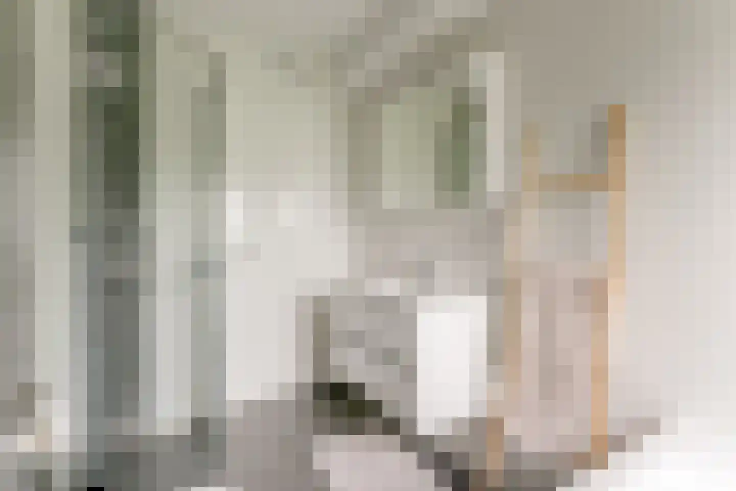 Charlotte van Pallandthof 58 Hoorn thumbnail 30