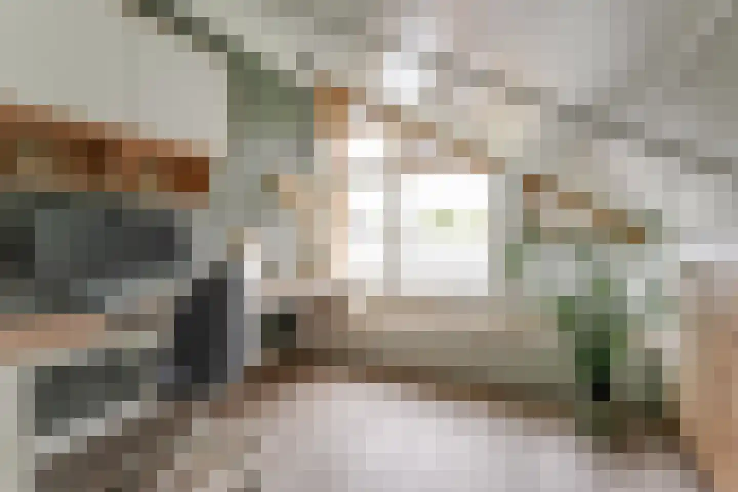 Charlotte van Pallandthof 58 Hoorn thumbnail 35