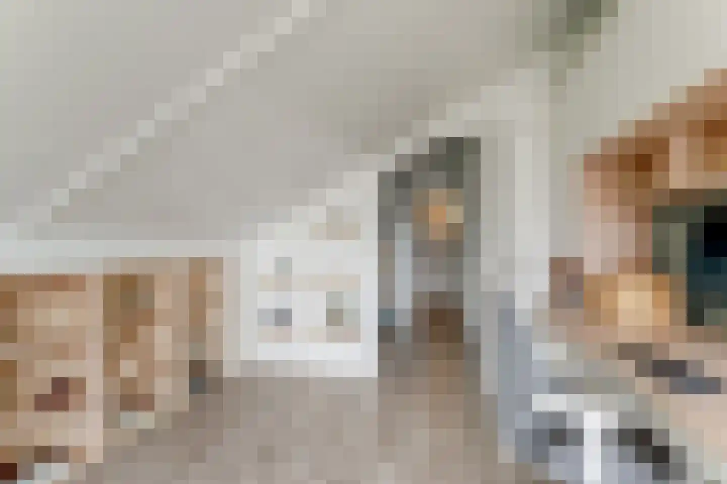 Charlotte van Pallandthof 58 Hoorn thumbnail 36