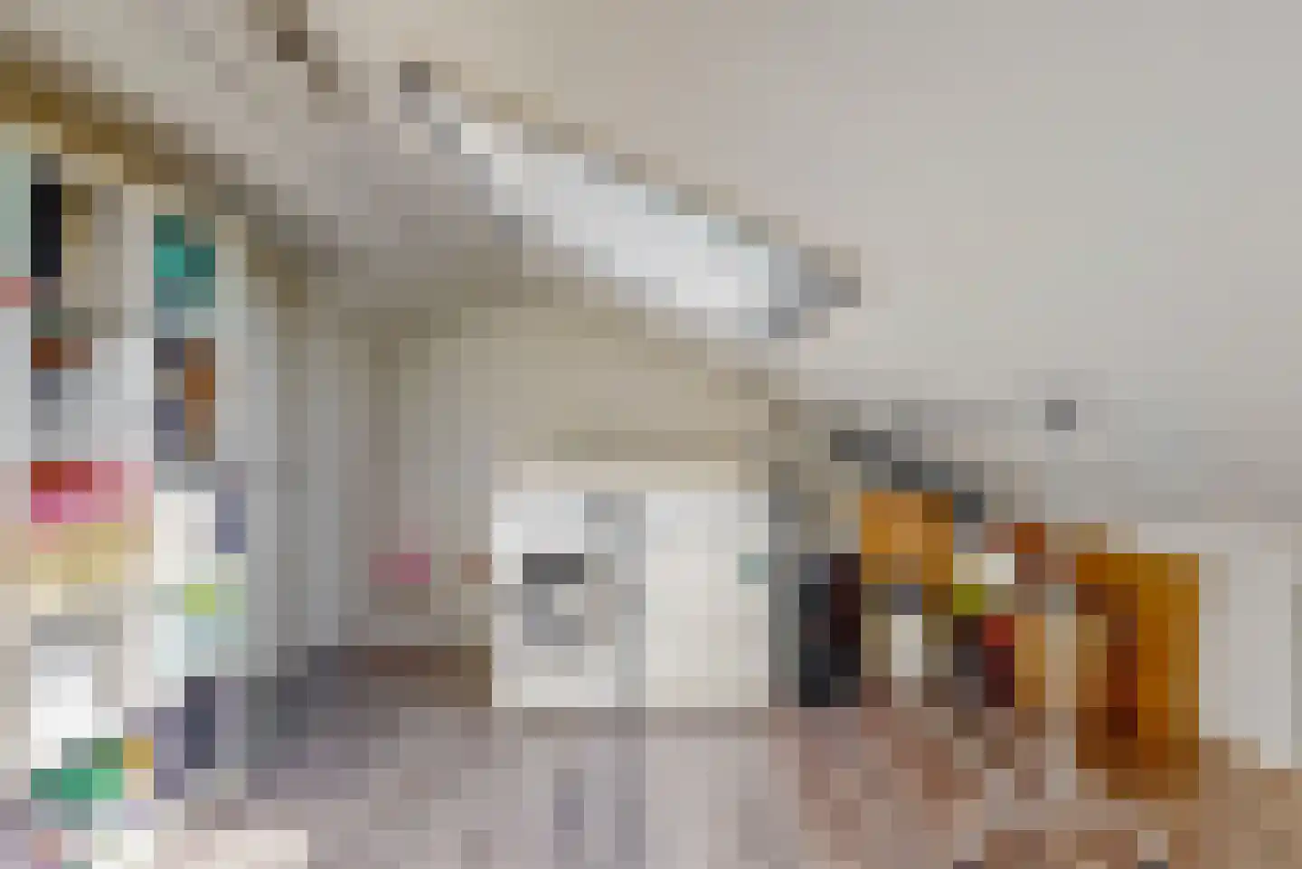 Charlotte van Pallandthof 62 Hoorn thumbnail 24
