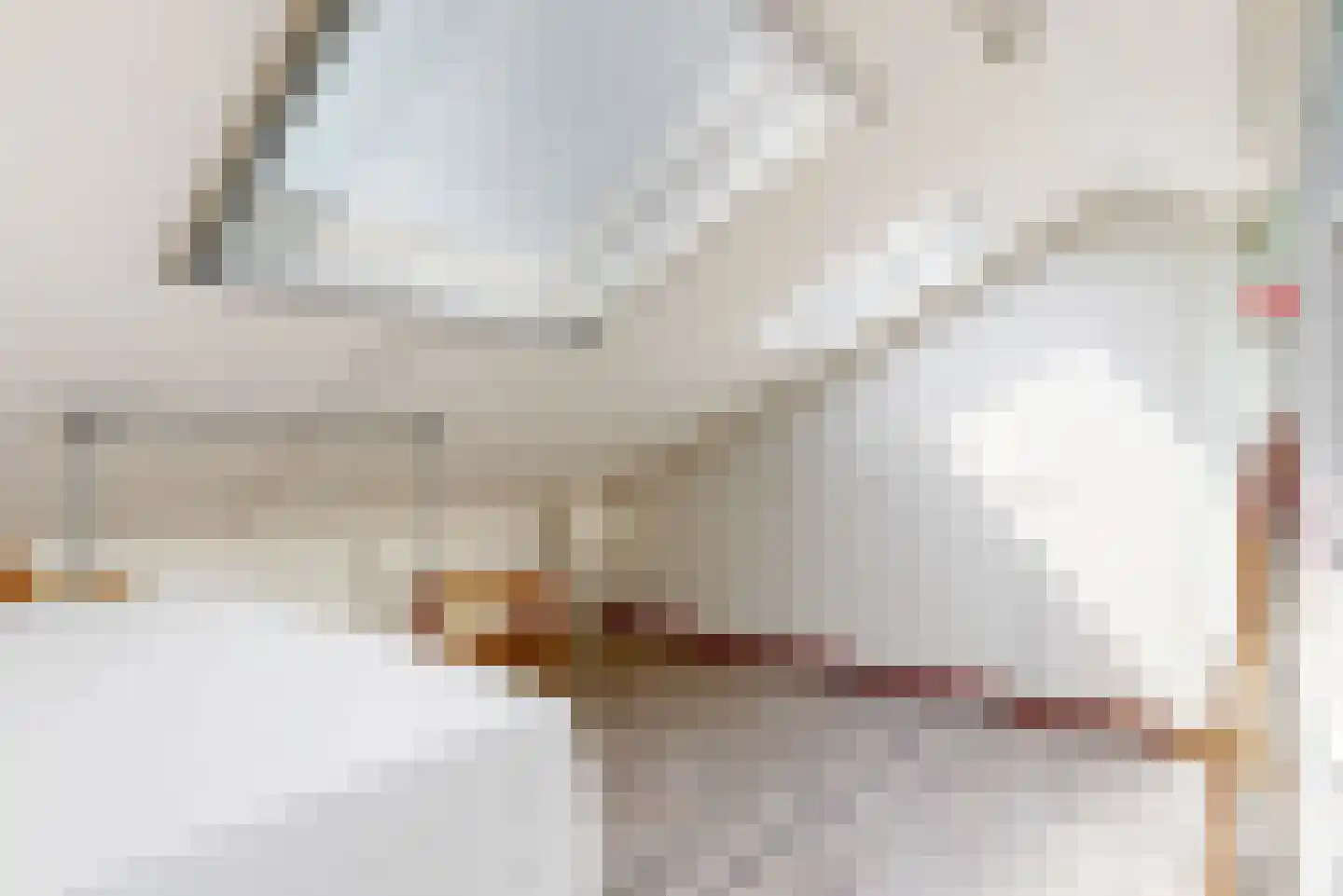 Charlotte van Pallandthof 62 Hoorn thumbnail 25