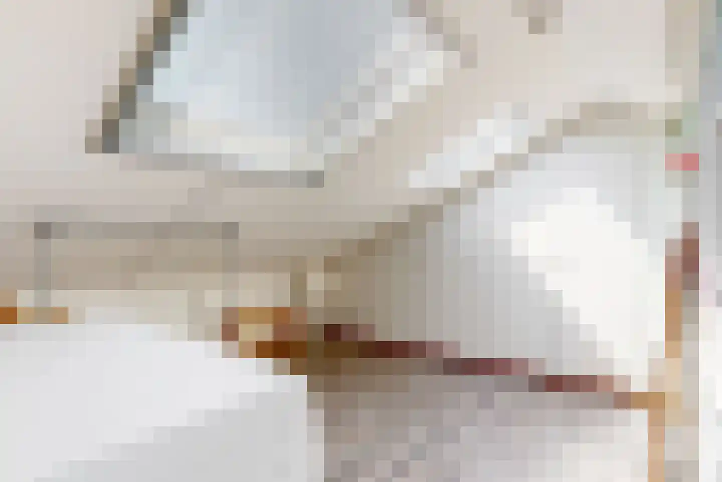 Charlotte van Pallandthof 62 Hoorn thumbnail 30