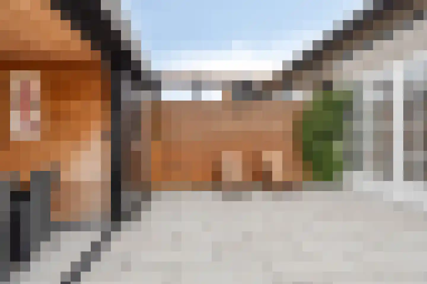 Charlotte van Pallandthof 81 Hoorn thumbnail 20