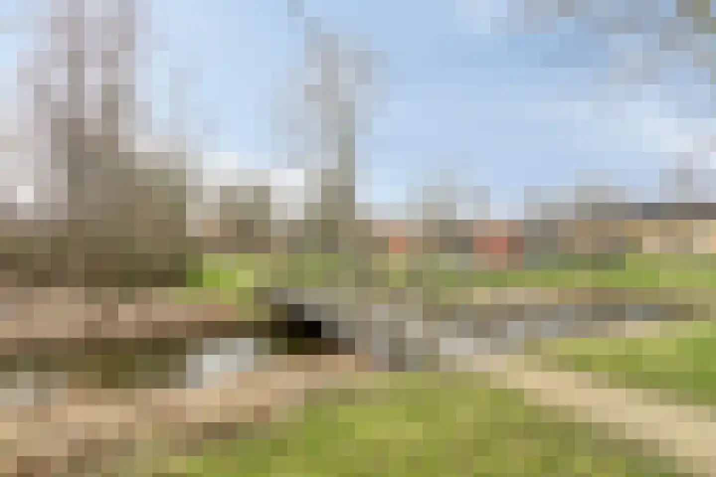 Charlotte van Pallandthof 81 Hoorn thumbnail 37
