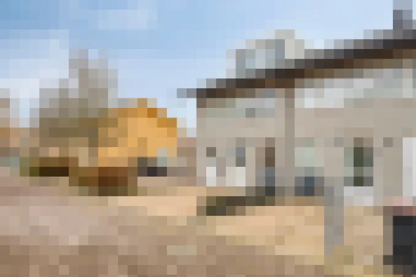Charlotte van Pallandthof 81 Hoorn thumbnail 6