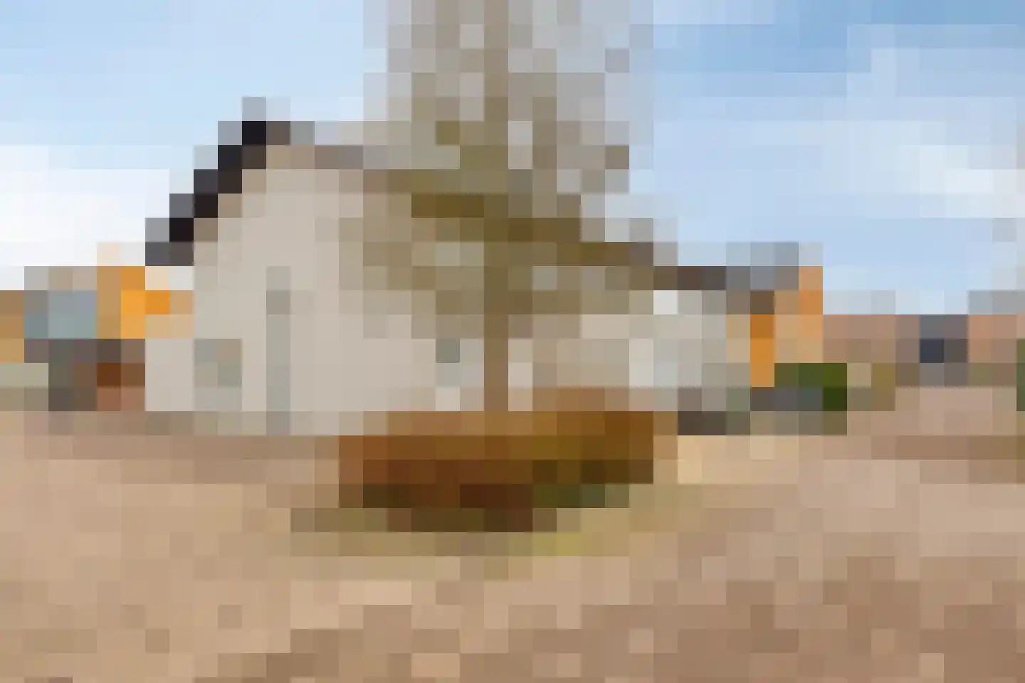 Charlotte van Pallandthof 81 Hoorn thumbnail 7
