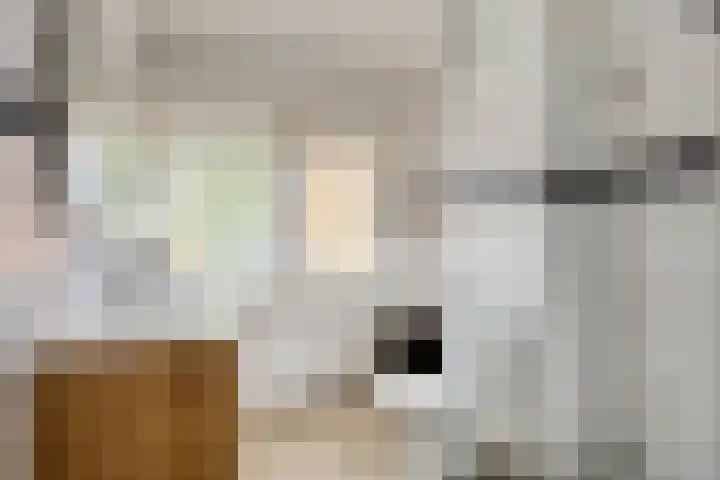 Charlotte van Pallandthof 83 Hoorn thumbnail 17