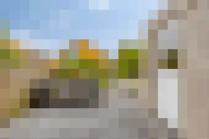 Charlotte van Pallandthof 83 Hoorn thumbnail 22