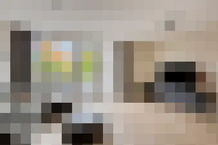 Charlotte van Pallandthof 83 Hoorn thumbnail 4