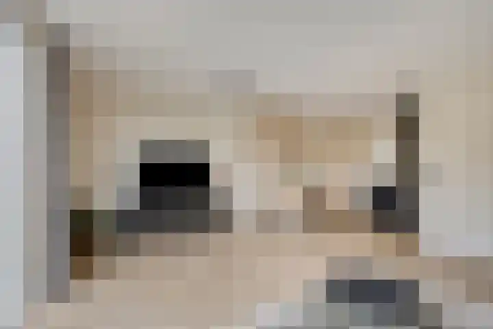 Charlotte van Pallandthof 83 Hoorn thumbnail 5