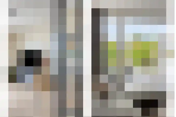 Charlotte van Pallandthof 83 Hoorn thumbnail 7