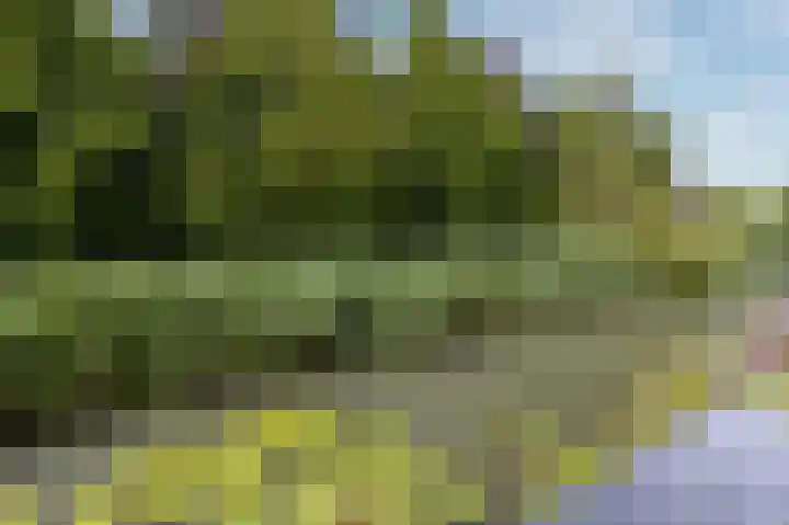Charlotte van Pallandthof 96 Hoorn thumbnail 14