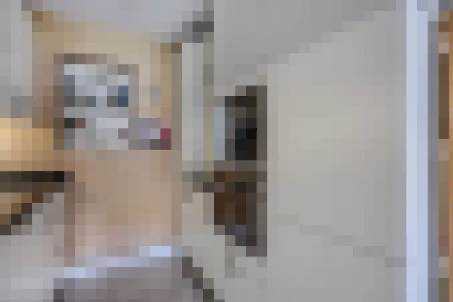 Charlotte van Pallandtlaan 10 Almere thumbnail 17
