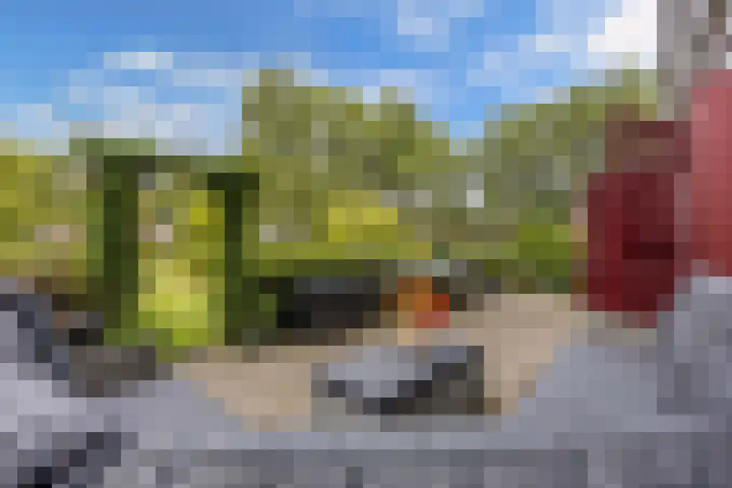 Charlotte van Pallandtlaan 10 Almere thumbnail 30