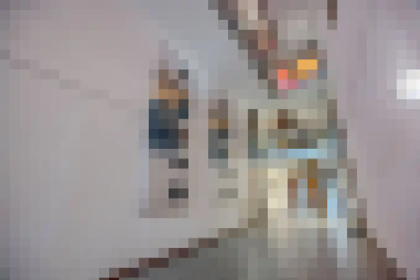 Charlotte van Pallandtlaan 10 Almere thumbnail 4