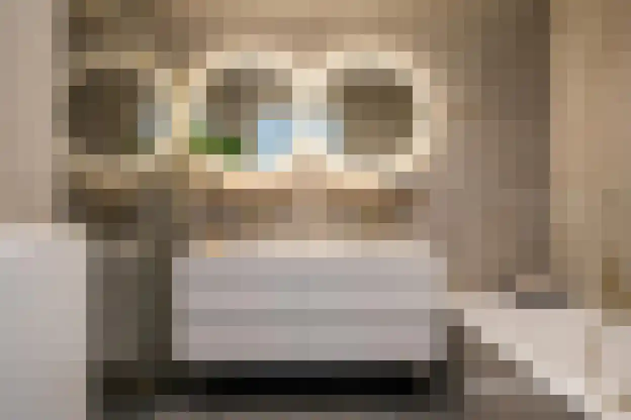 Charlotte van Pallandtlaan 12 Almere thumbnail 29
