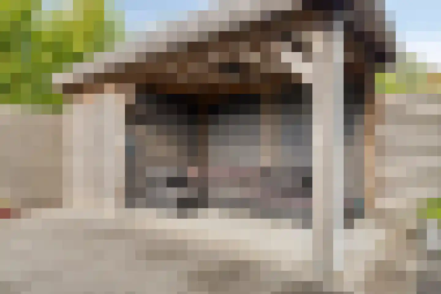 Charlotte van Pallandtlaan 12 Castricum thumbnail 37