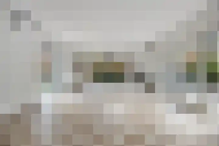 Charlotte van Pallandtlaan 14 Alphen aan den Rijn thumbnail 10