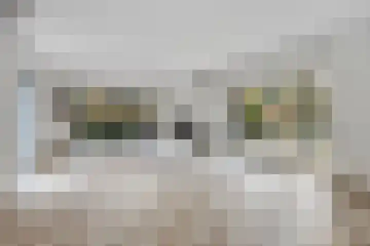 Charlotte van Pallandtlaan 14 Alphen aan den Rijn thumbnail 11