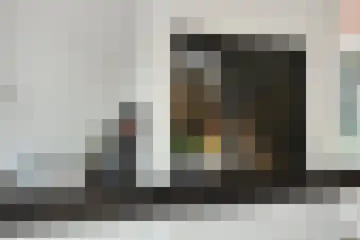 Charlotte van Pallandtlaan 14 Alphen aan den Rijn thumbnail 13
