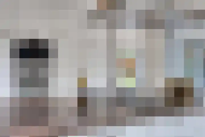 Charlotte van Pallandtlaan 14 Alphen aan den Rijn thumbnail 17