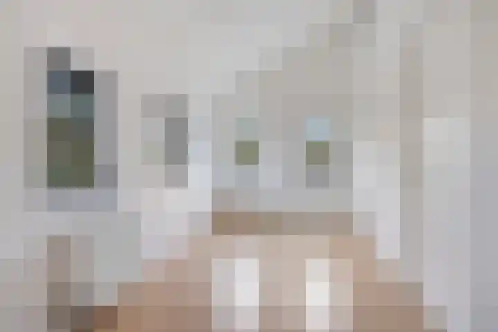Charlotte van Pallandtlaan 14 Alphen aan den Rijn thumbnail 28