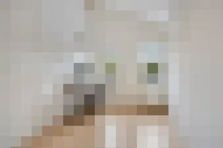 Charlotte van Pallandtlaan 14 Alphen aan den Rijn thumbnail 29