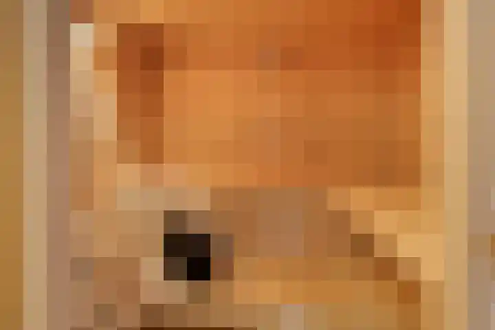 Charlotte van Pallandtlaan 14 Alphen aan den Rijn thumbnail 31