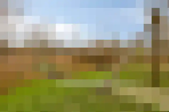 Charlotte van Pallandtlaan 14 Alphen aan den Rijn thumbnail 35