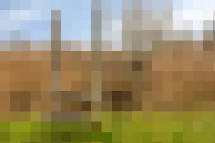 Charlotte van Pallandtlaan 14 Alphen aan den Rijn thumbnail 36