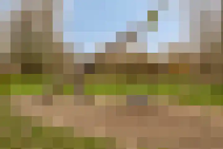 Charlotte van Pallandtlaan 14 Alphen aan den Rijn thumbnail 37