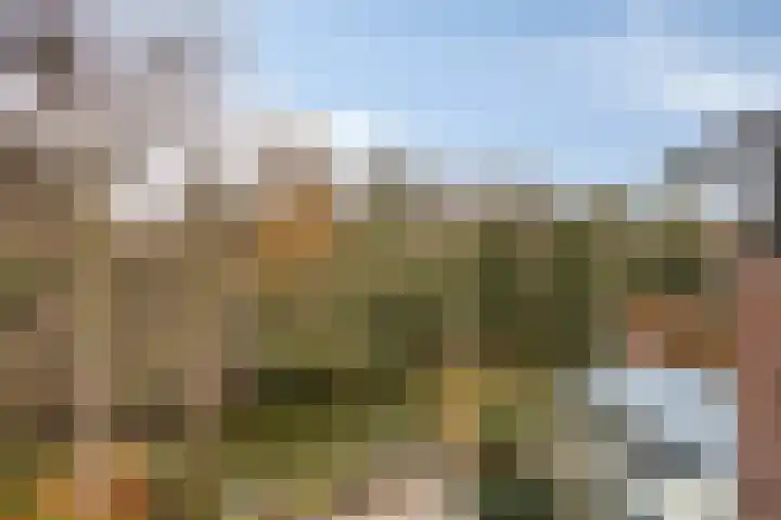 Charlotte van Pallandtlaan 14 Alphen aan den Rijn thumbnail 6